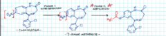 <p>Cofactor: N-acetyl transferase Enzyme: Acetyl CoA</p>