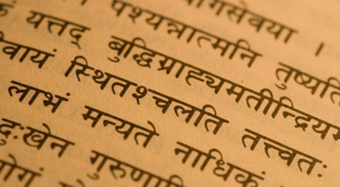<p>An ancient language of India that was used to write down the Vedas.</p>