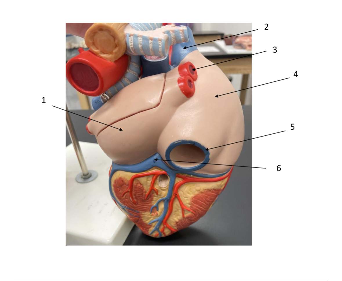 <p>1?</p>