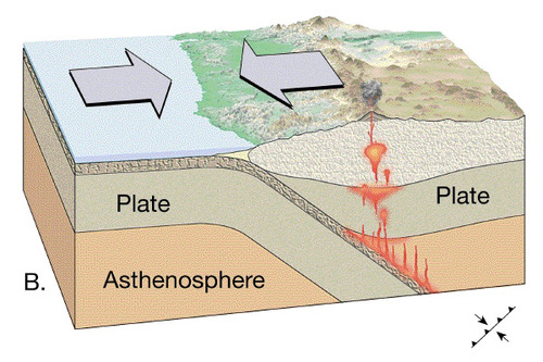Plates that move towards each other
Instead of two plates being created, they are being: (a) consumed or (b) colliding