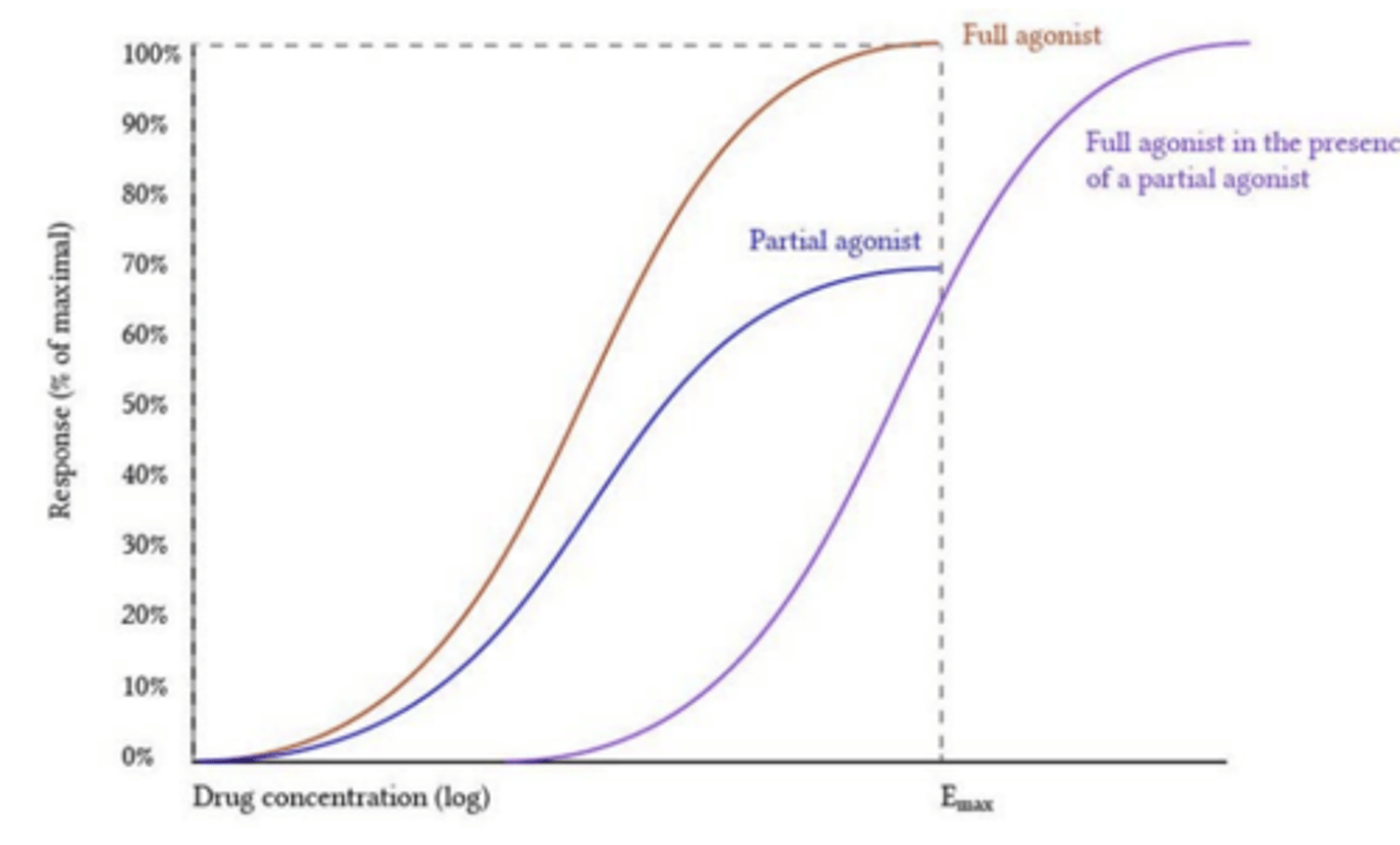 <p>- not affected</p><p>- reduced</p><p>(in graph, still reaches max response, but Ec50 is shifted to the right)</p>