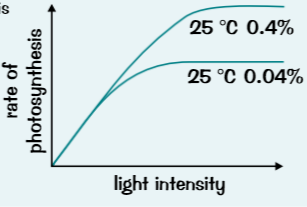 <p>Both lines level off when? compare the 2 lines.</p>