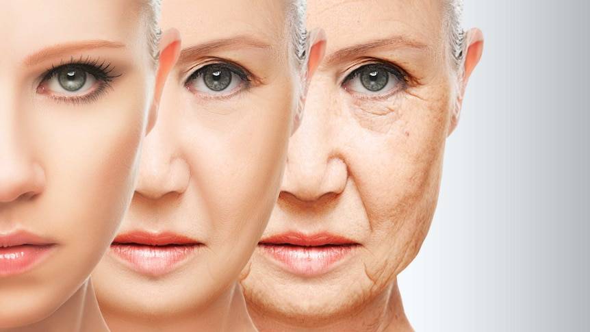 thay đổi sinh lý – Fear causes a physiological change in heart rate.
