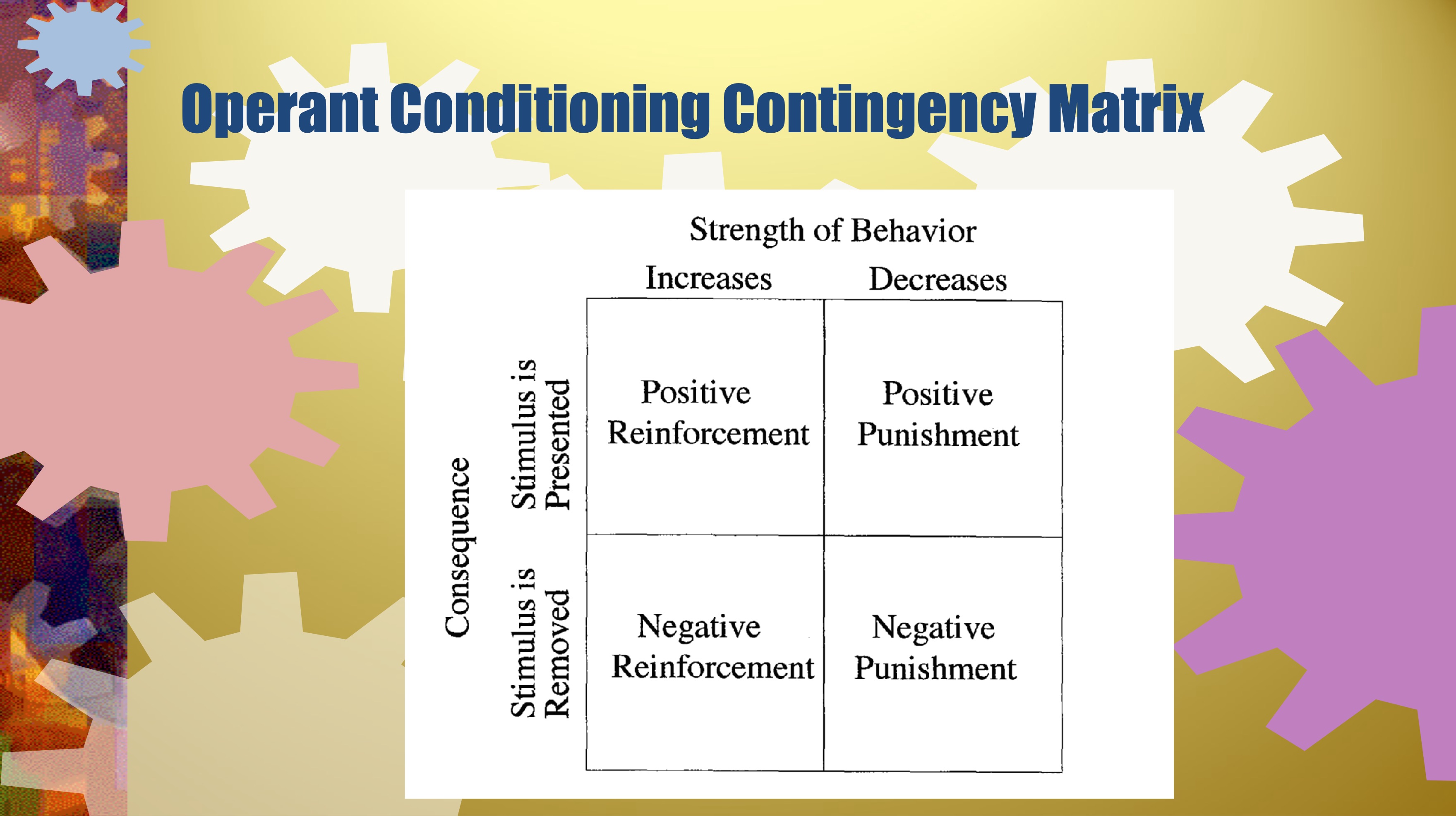 <ul><li><p>reinforcement: strength of B increases</p></li><li><p>punishment: strength of B decreases</p></li><li><p>positive: S is presented</p></li><li><p>negative: S is removed</p></li></ul><p></p>