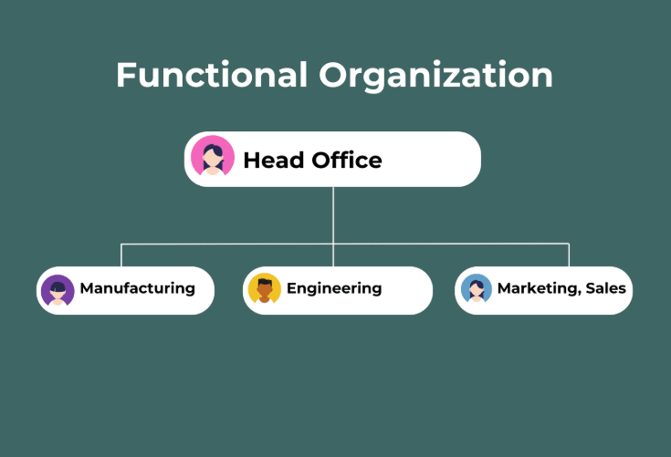 <p>Pros:</p><ul><li><p>people develop deep functional expertise; specialization —> orgs. can be extremely innovative in specific functions/technologies </p></li><li><p>“economies of scope” —> easy to transfer resources across activities within functions</p></li><li><p>allows each separate alignment systems (ie. performance evaluation, incentives, training, etc.)</p></li></ul><p>Cons:</p><ul><li><p>assumes sequential interdependence from upstream to downstream (R&amp;D to marketing); “backward” flow of information can be difficult (Marketing to Engineering) —> makes org. less responsive to changes in markets/customers</p></li><li><p>higher degree of specialization = narrower mindset</p></li><li><p>levels of management expand overtime with career ladders staying within each function —> tall hierarchy leads to slow and less effective information flow</p></li></ul><p></p>