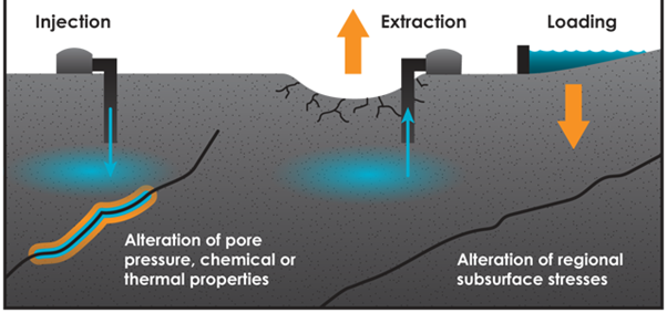 <ul><li><p>Human activity also cause earthquakes</p></li><li><p>Mining activities disturb rock structure </p></li><li><p>Use of dynamite and heavy machinery = cause earthquakes </p></li><li><p>Dam construction for reservoirs adds significant weight and loads to faulys and can also cause earthquakes </p></li><li><p>Fracking - shale gas is extracted from rock seams by injecting high pressures = increase frequency in earthquakes </p></li></ul>