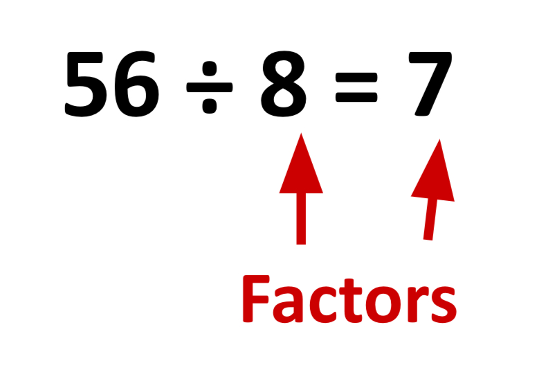 <p>What are factors? (Divide ver)</p>