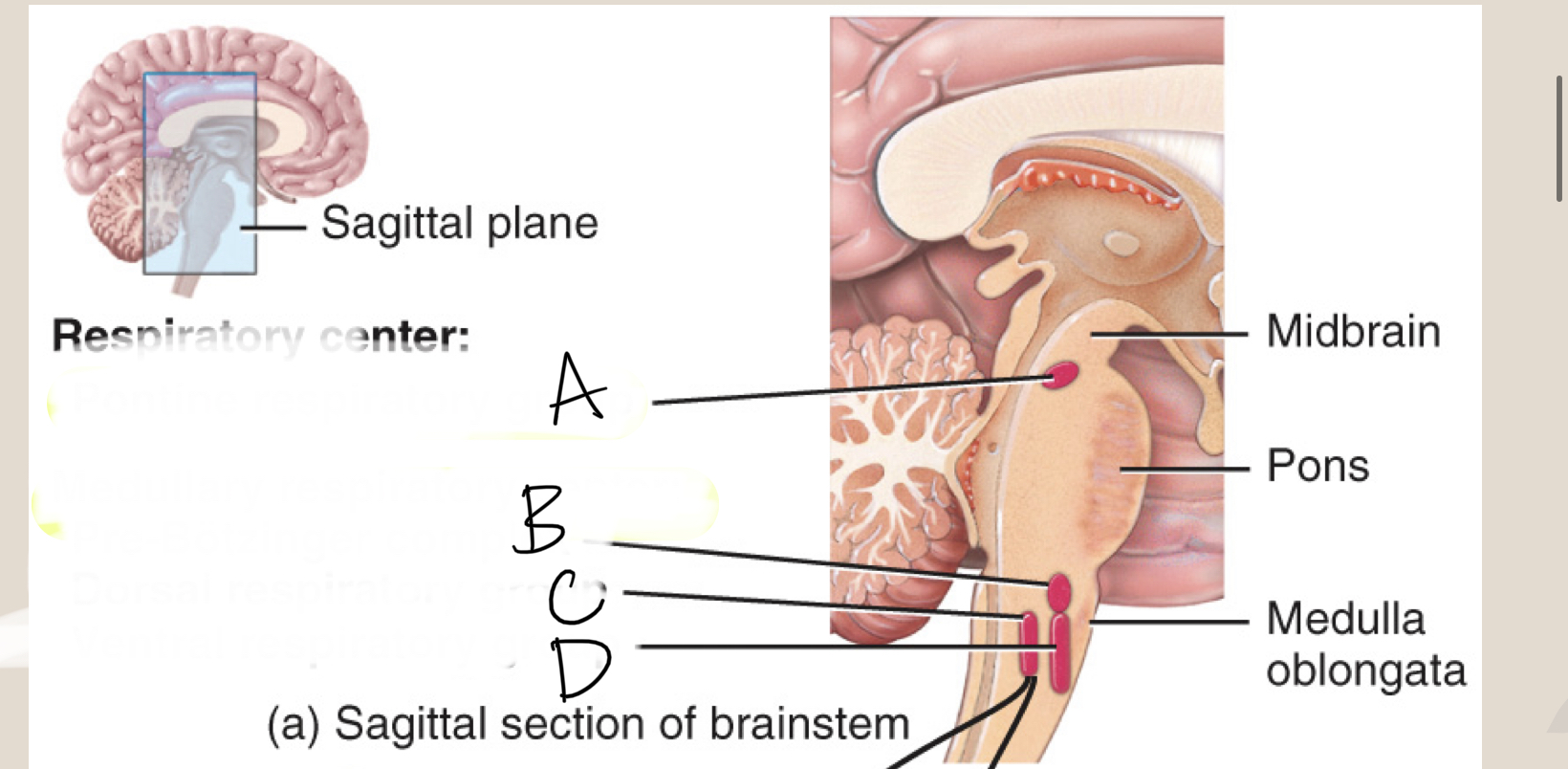 <p>What is A</p>