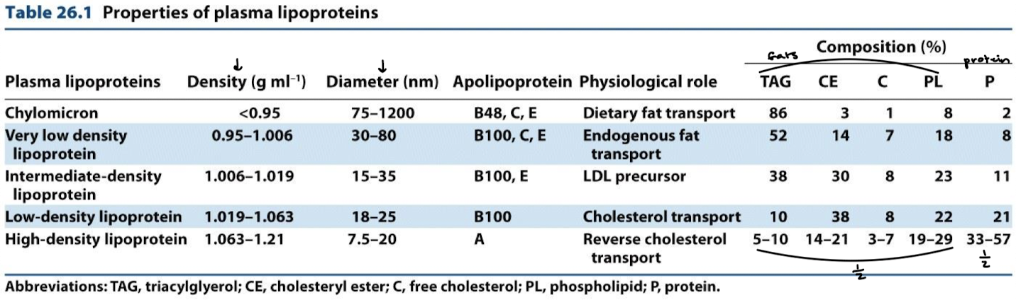 <p>Determined by its point of synthesis, lipid composition, and apolipoprotein content.</p>