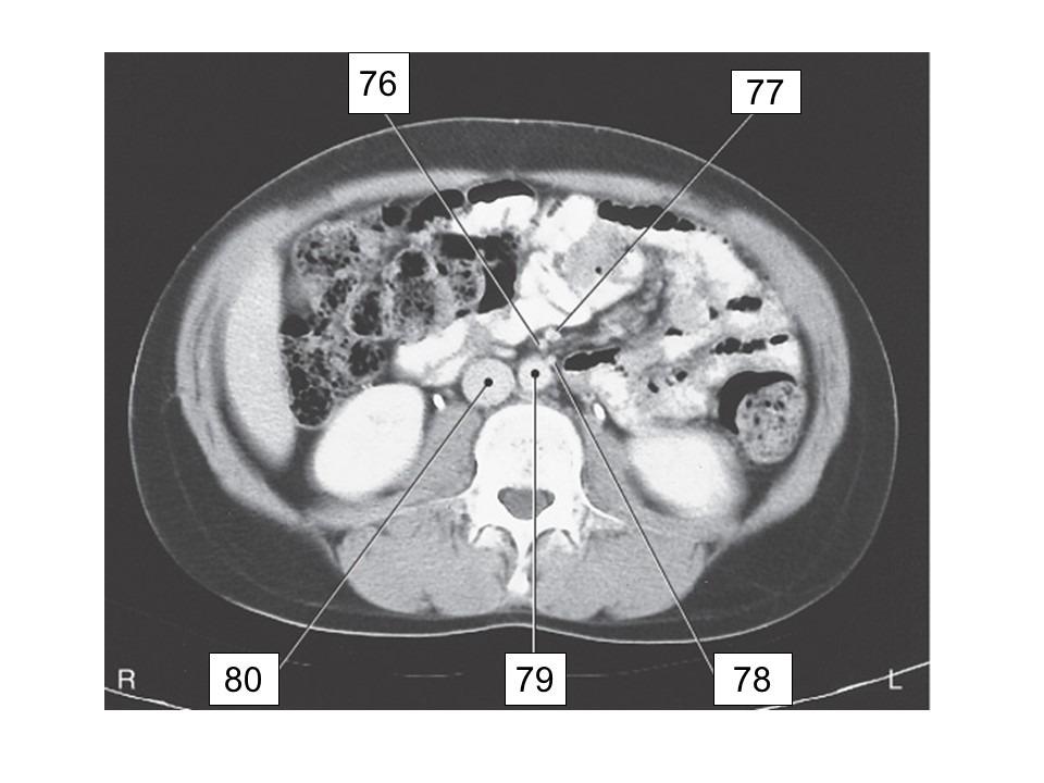 <p>78</p>