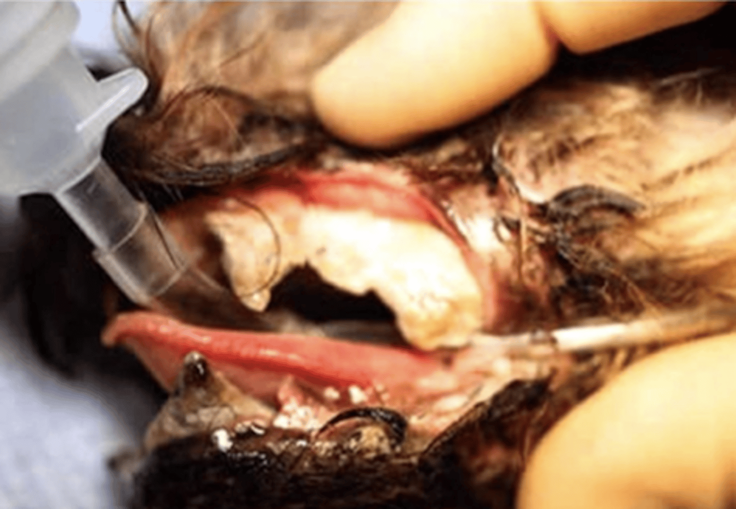 <p>what is the problem here?</p>