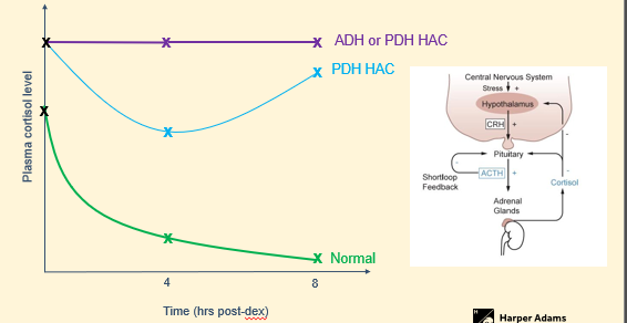 <p>Low dose dexamethasone suppression test </p>