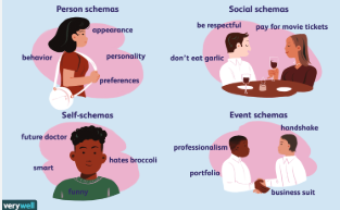 <p>A concept or mental mold that organizes information and experiences.</p><p>Ex: We have schemas for everything from simple objects: desk and cat, to complex concepts like love and friendship.</p>