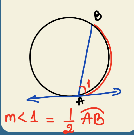 <p>Angle is 1/2 of intercepted arc</p>