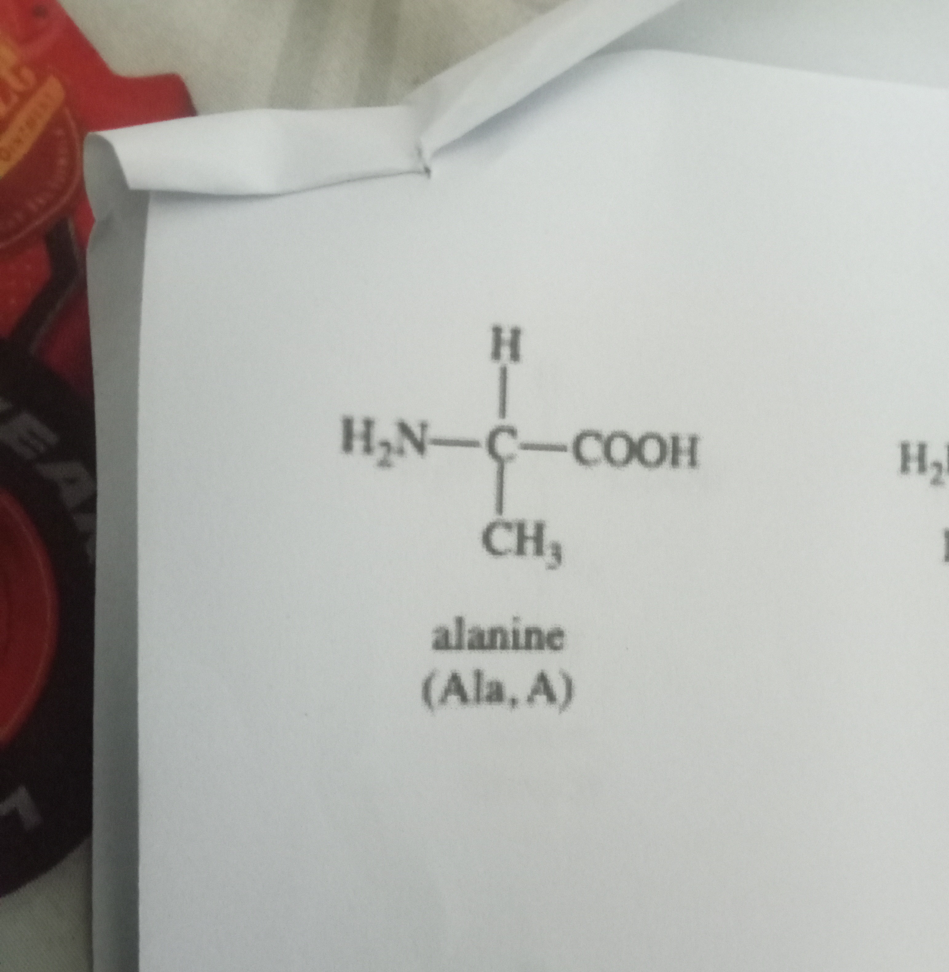 <p>Alanine </p>