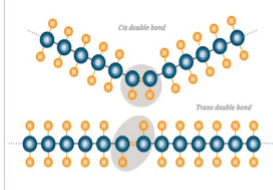<p>cis and trans </p>