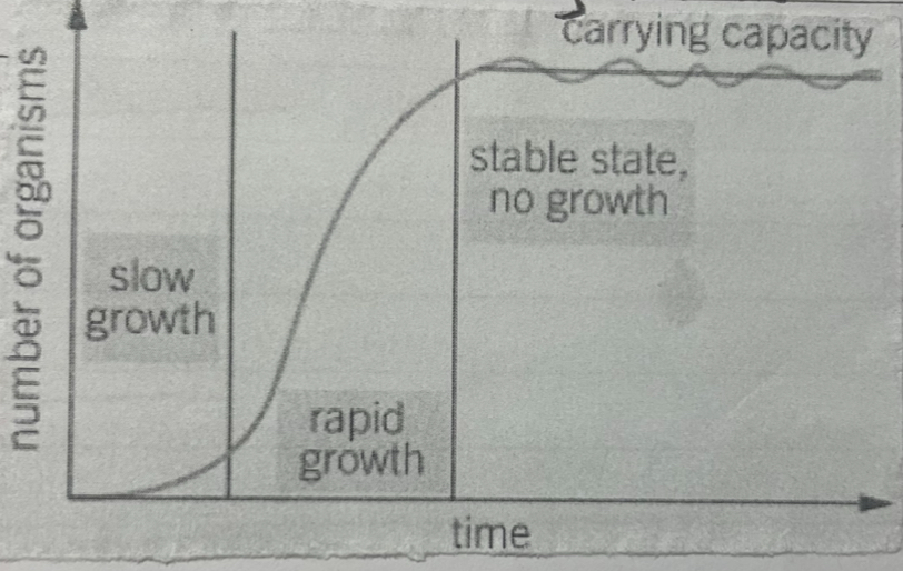 <p>what does this growth show</p>