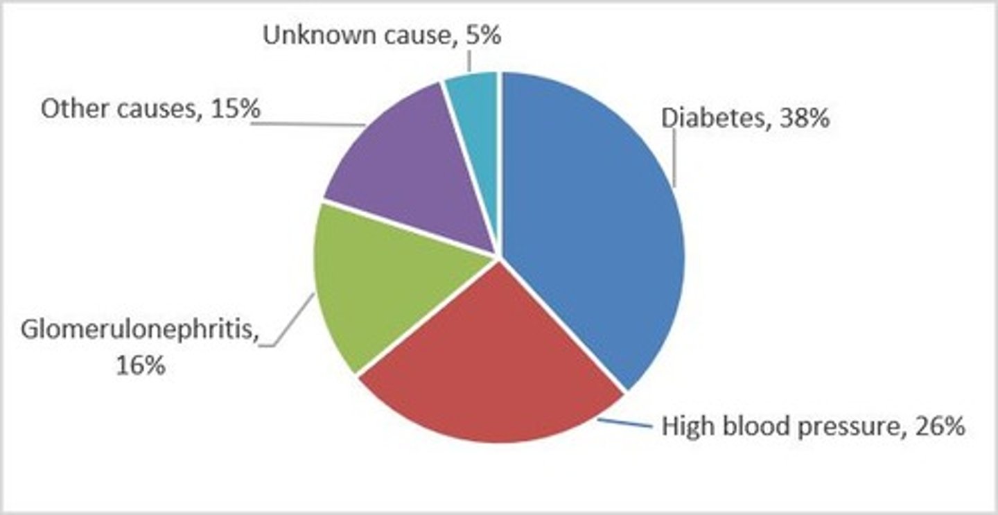 <p>- Kidney infections</p><p>- High blood pressure (hypertension)</p><p>- Diabetes</p>