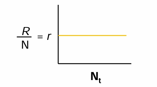 <p><strong>Plot R/N<sub>t</sub>&nbsp;or&nbsp;‘r’ against N<sub>t</sub></strong></p><ul><li><p>Population Growth Rate per capita, <strong>R/N, is constant </strong>as population size or density changes. Density, N, does not affect the birth or death rate.</p></li></ul><p></p>