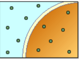 <p>what type of osmosis environment is this?</p>