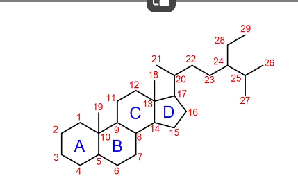 <p>-basic structure one pentyl ring, and two hexyl rings </p><p>-then an R chain </p><p></p>