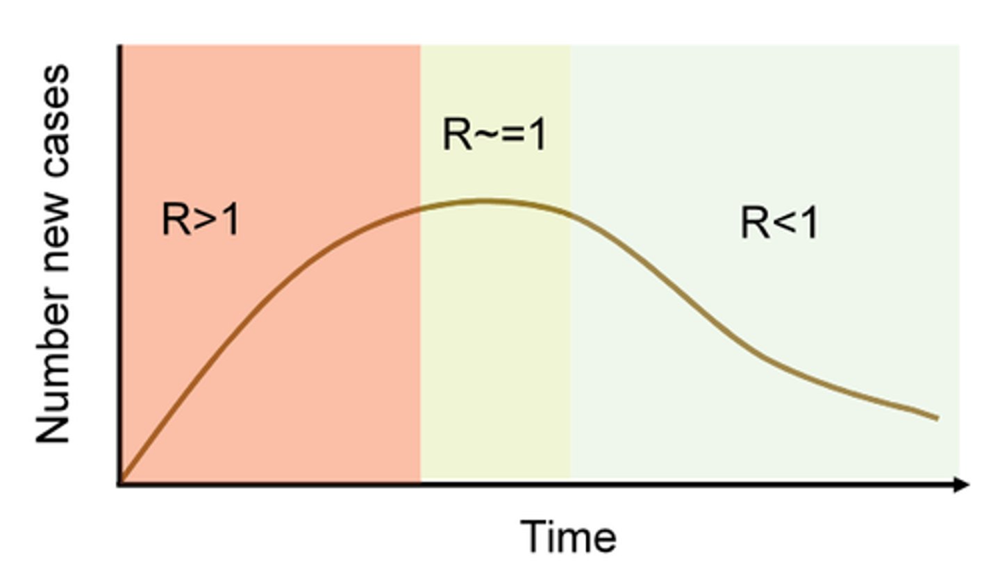 <p>Reproduction number at any time point during an outbreak (unlike R nought, taking into account real-time considerations that can affect how the transmission rate of a disease changes over time) so is the current/real-time transmission rate of a disease in a population.</p><p>- If R > 1, the disease is still spreading.</p><p>- If R < 1, the disease transmission is under control and may eventually decline.</p>