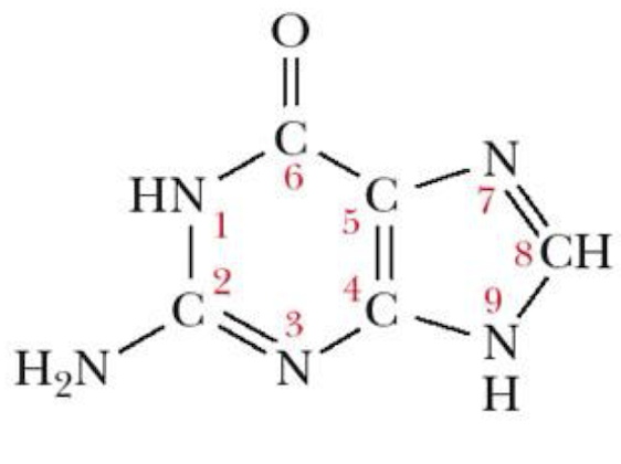 <p>Name that structure.</p>
