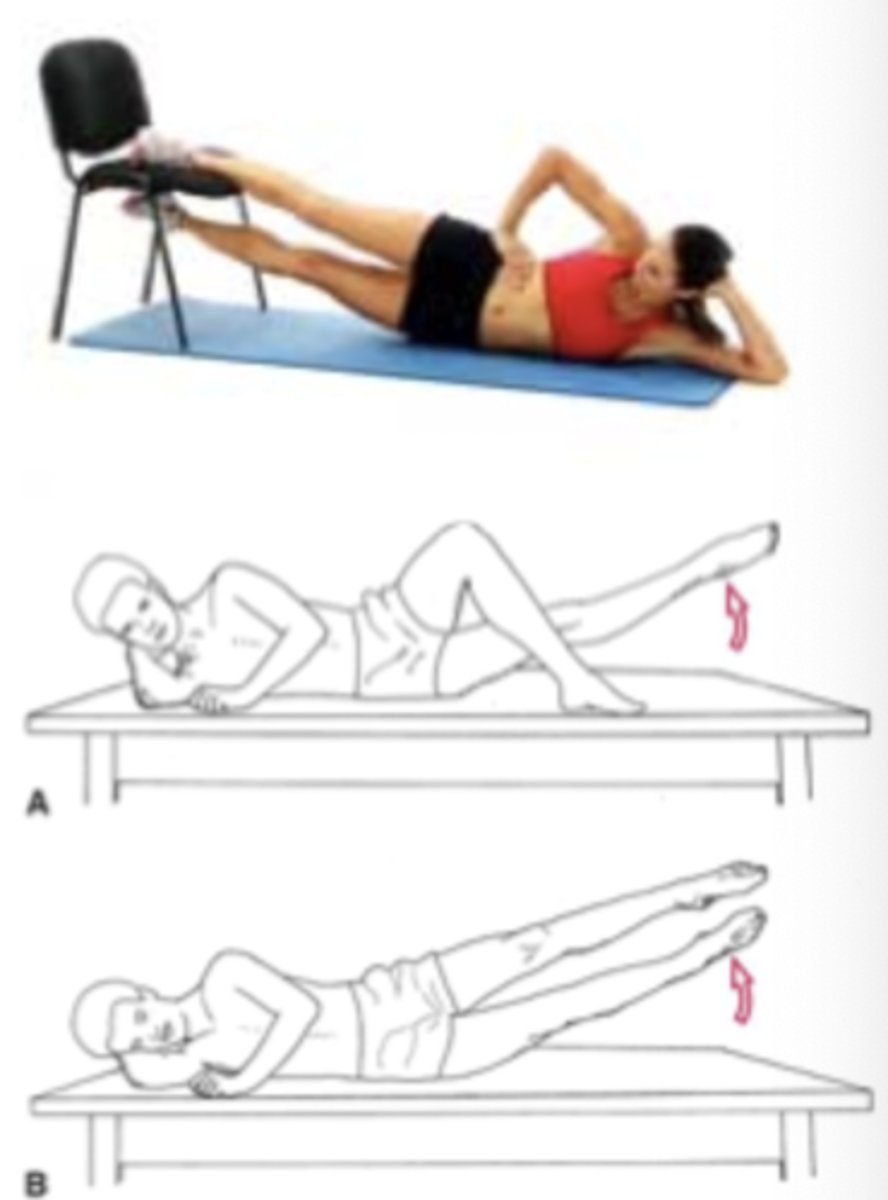 <p>pt sidelying with involved LE on bottom</p><p>-pt lifts bottom leg into hip ADD</p>