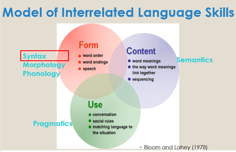 <p>Where does syntax fall on the Bloom and Lahey (1978) Model of Interrelated Language Skills?</p>