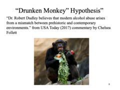 Evolution from fruit-eating monkeys causes an evolutionary advantage to drinking alcohol (developed ADH4 enzyme)