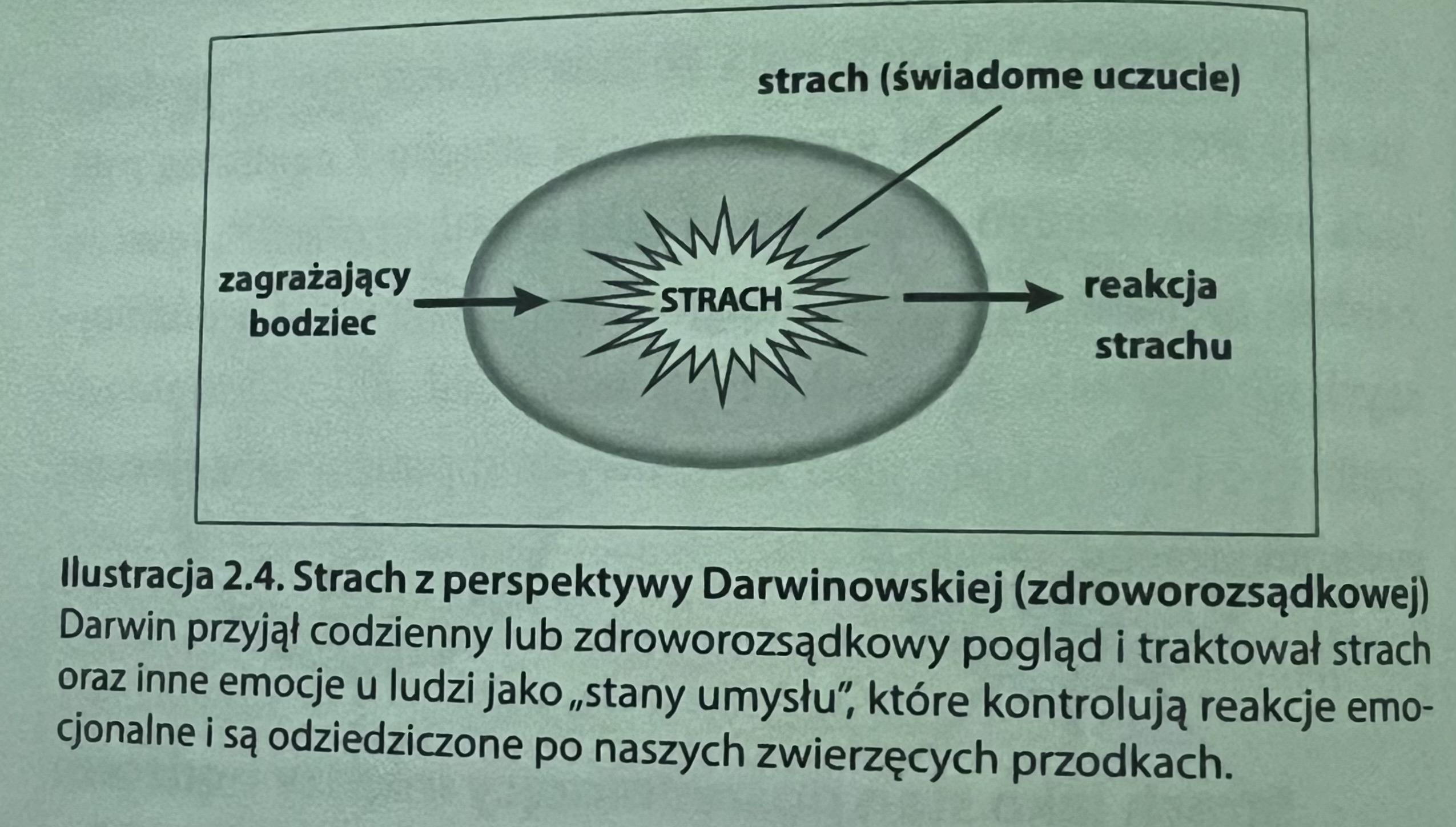 <p>za duża rola przypisywana świadomemu uczuciu strachu&nbsp;</p>