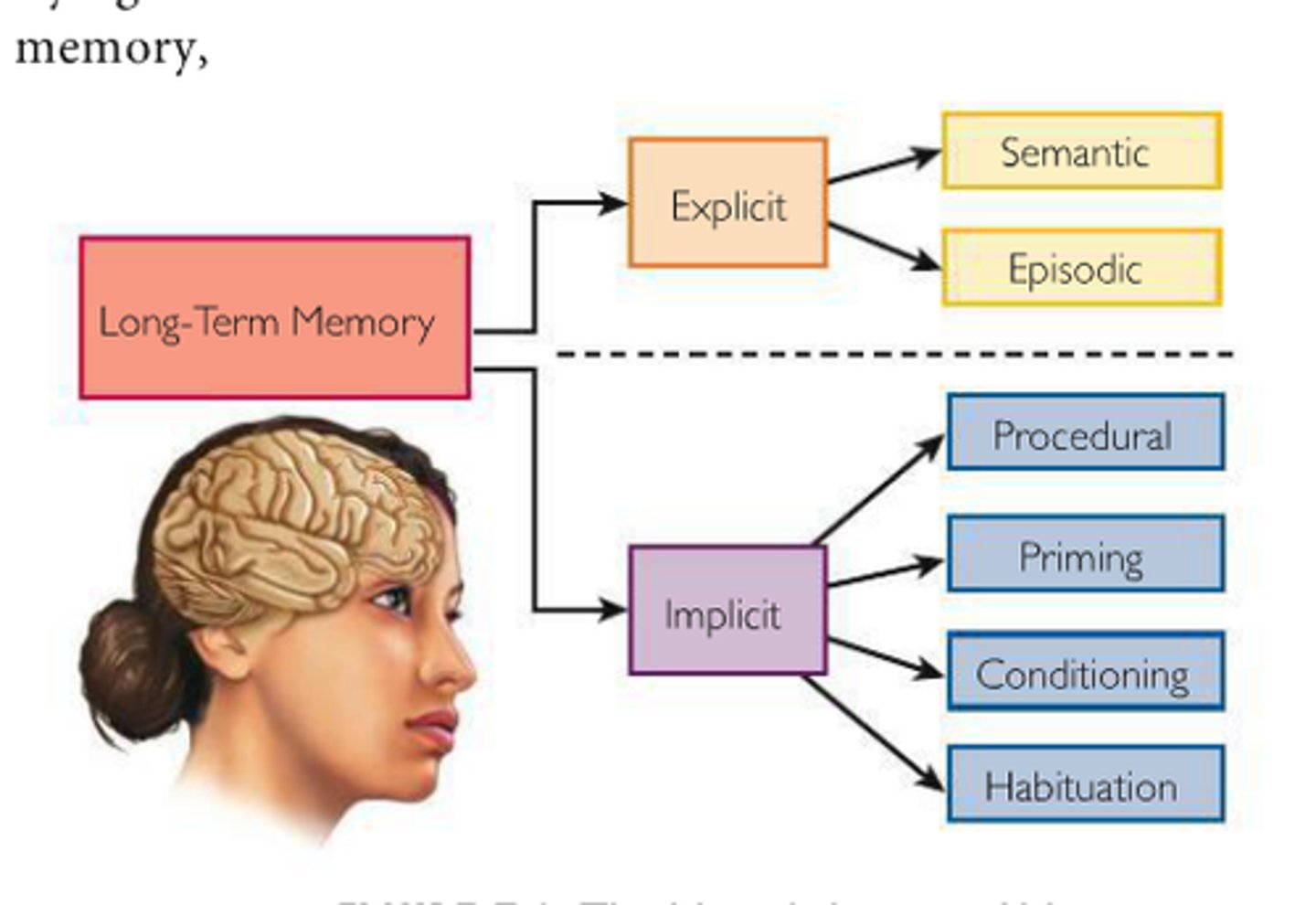 <p>memory of facts and experiences that one can consciously know and "declare"</p>