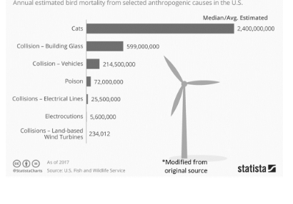 <p><span>One reason people oppose large installations of wind turbines is that flying birds are killed by the spinning turbines. According to the data below, reducing which one of the causes would most limit annual anthropogenic bird mortality?</span></p>