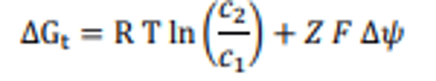 <p>Mechanisms of transport processes involving membranes usually involve protein conformational changes.</p>