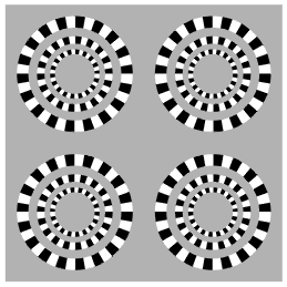<p>perception of motion when no actual movement occurs</p>