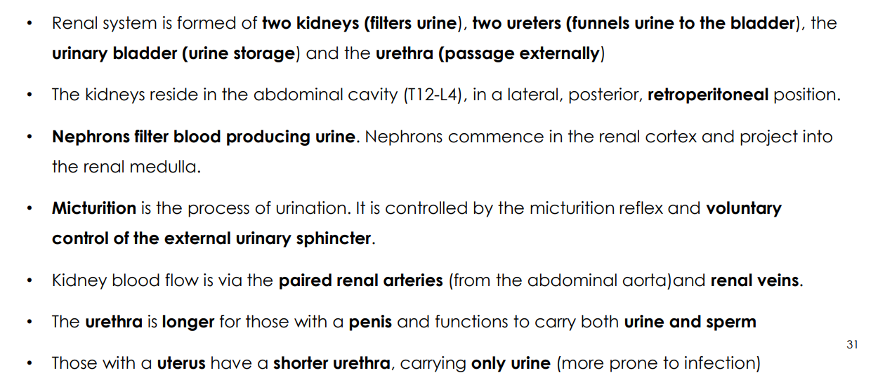 <p>DIAGRAM ON SLIDE 31</p>