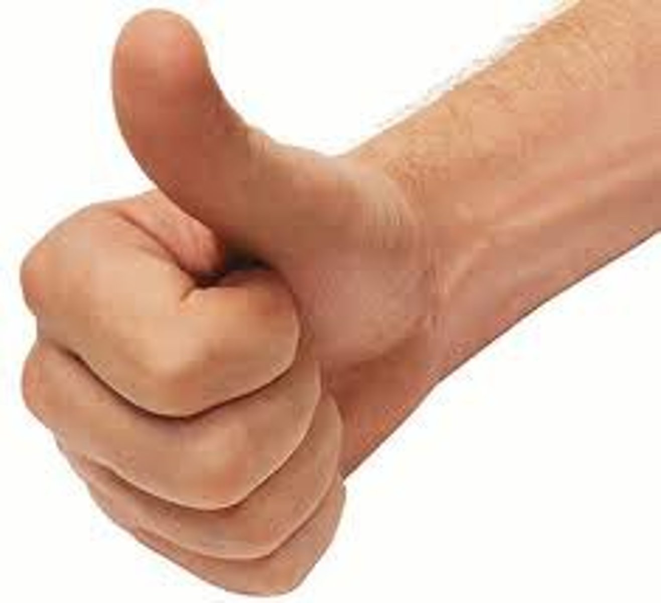 <p>the thumb</p>