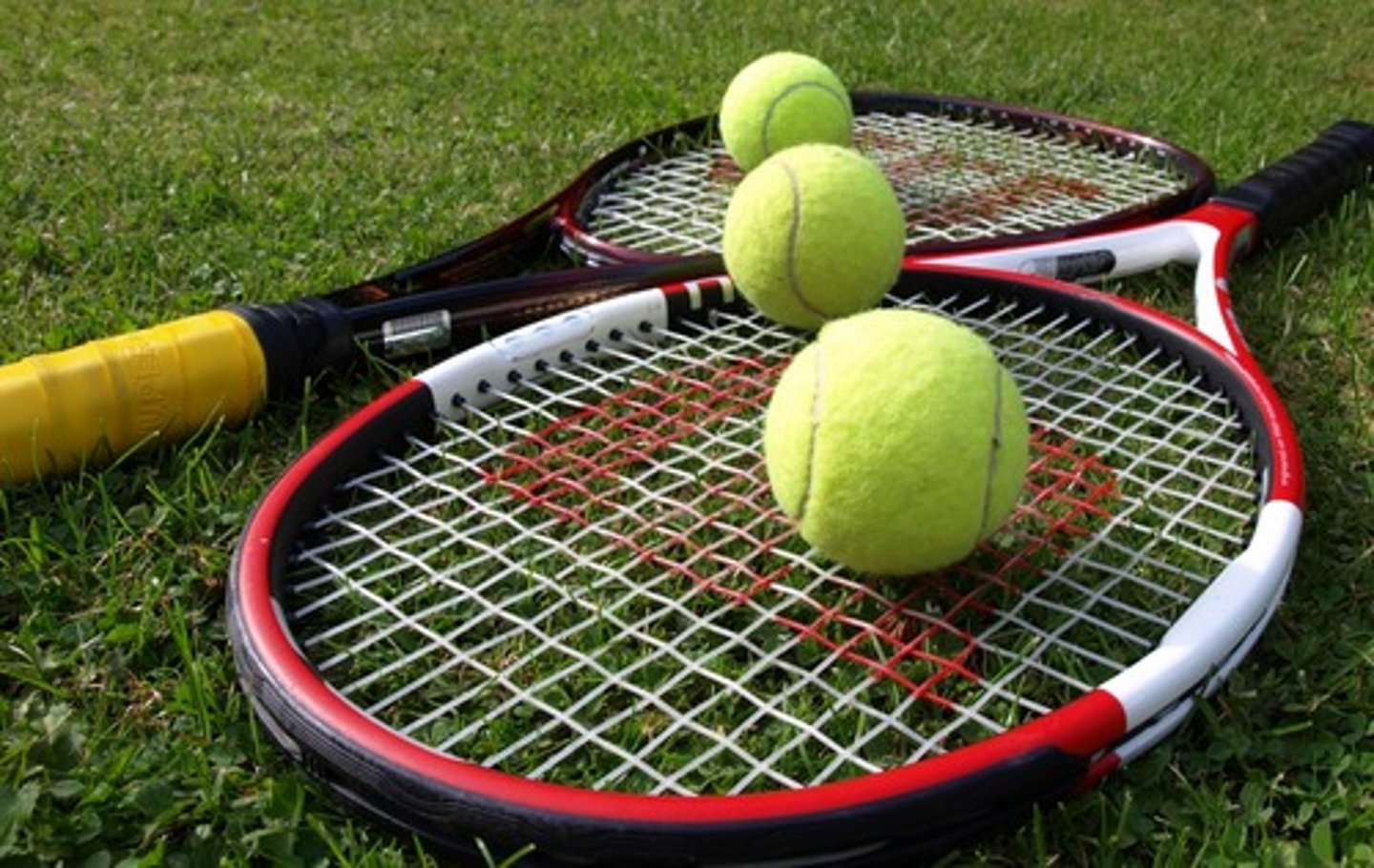 <p>to play tennis</p>