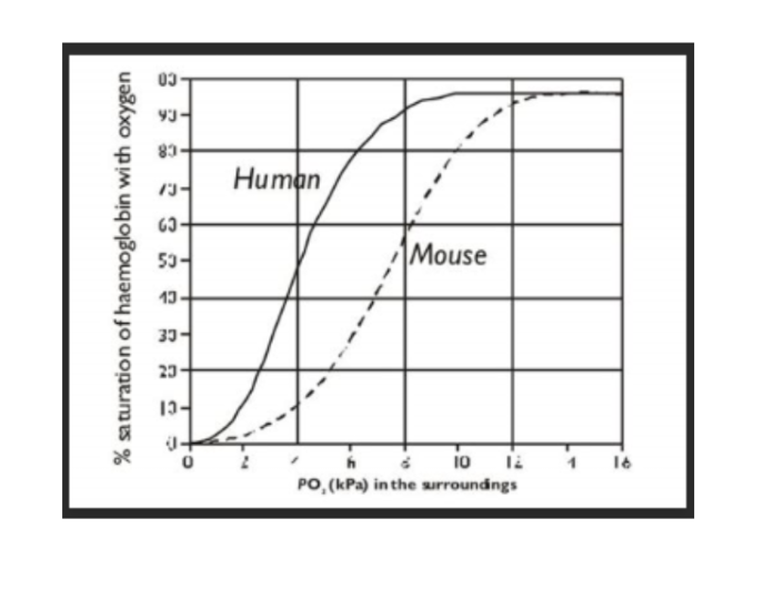 <p>how does size affect the curve </p>