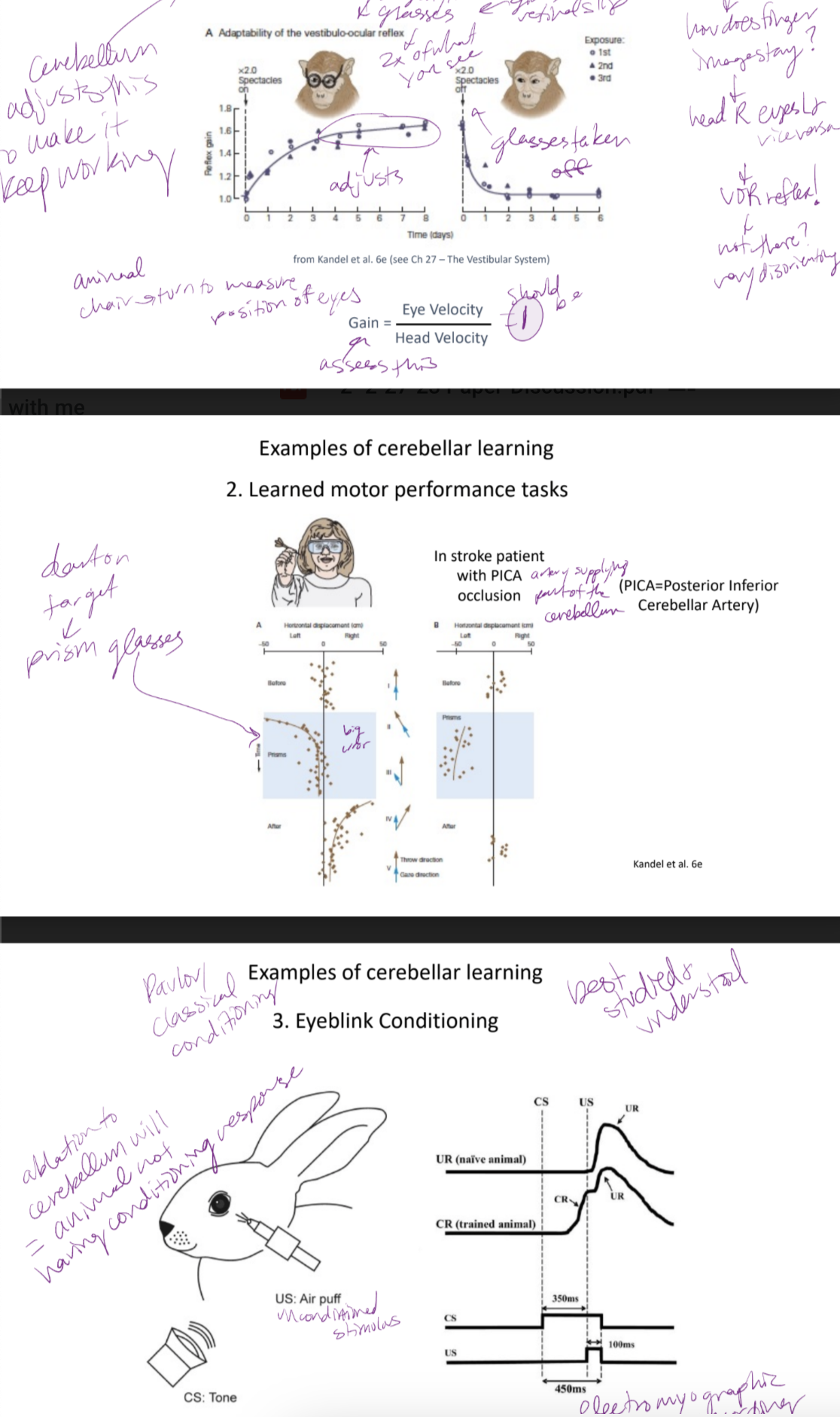 
1. adaption of the vestibulo-ocular reflex (VOR)

   
   1. basically have glasses that act like magnifying glasses and skew your vision and see how vision is adjusted with the position of the eyes → measures this with gain = eye velocity/head velocity (should be 1)
   2. if VOR is not there → it is very disorienting
   3. retinal slip = effectiveness of VOR
2. learned motor performance task

   
   1. prism glasses trying to hit target → you can adapt after a while
   2. those with PICA (posterior inferior cerebellar artery) occlusion due to a stroke can’t every hit the target and adapt
3. eyeblink conditioning

   
   1. uses pavlov conditioning → best studied and understood example
   2. ablation to cerebellum = animal not having a conditioned response to a stimulus that usually has been trained to make u close your eyes