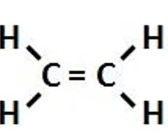 <p>C=C Carbon/Carbon double bond </p>