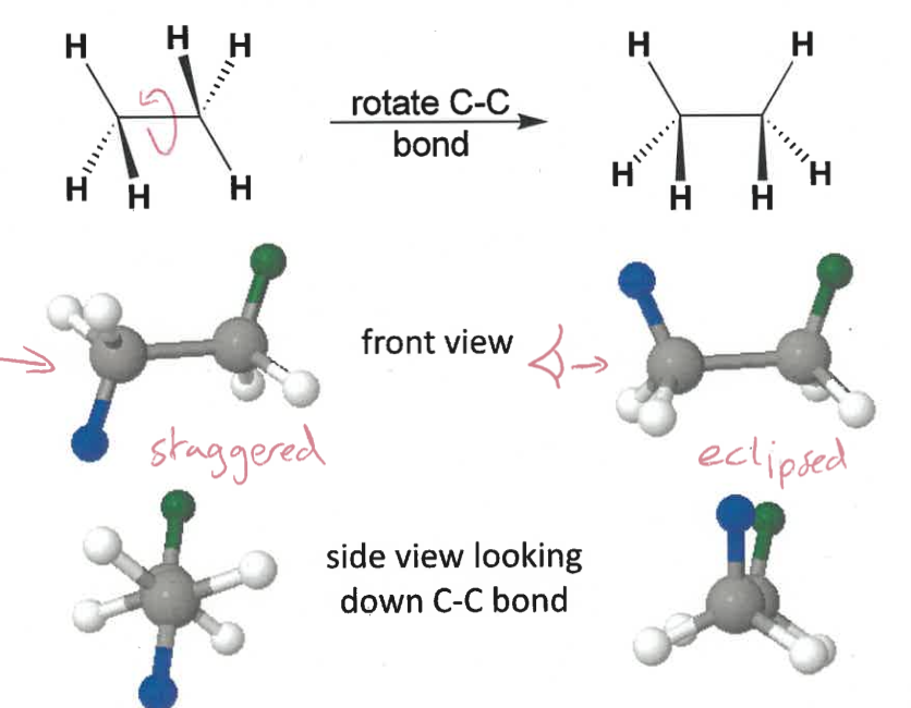 <p>rotate C-C bond so groups with same orientation are both up/down</p><p>look down bond </p><p>staggered = as far apart as possible </p><p>eclipsed = groups line up </p>