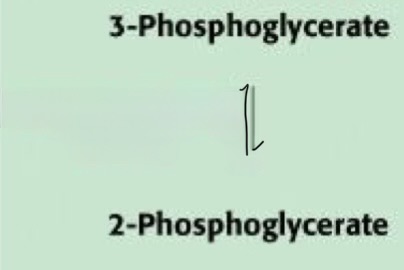 <p>Doplň enzym</p>