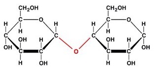 Bond formed by the removal of water when joining monosaccharides.