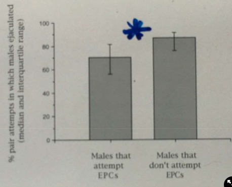 <ul><li><p>predict→ if males withhold sperm from pairs, males that do EPCs will ejaculate less often in paired copulations than males that do not do EPCs:<img src="https://knowt-user-attachments.s3.amazonaws.com/e38e8caa-65bb-4865-bfd5-abf851f24f9e.png" width="302" height="219.921875"></p></li><li><p><span>results→ males that engage in EPCs have significantly less ejaculations with their pairs than males that do not do EPCs</span></p><p><strong>→ mechanism 2 is correct: males withhold sperm from paired females for use with extra pair females</strong></p></li></ul>