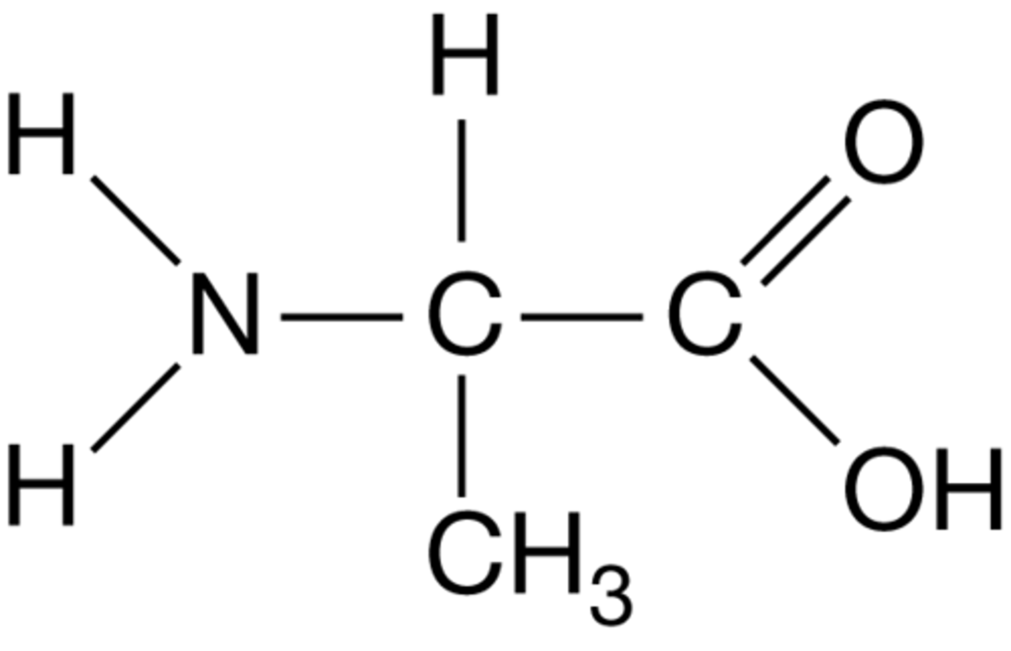 <p>Methyl (CH2) group</p>
