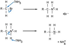 <p>R-X + 2NH3 → R-NH2 + NH4X</p>