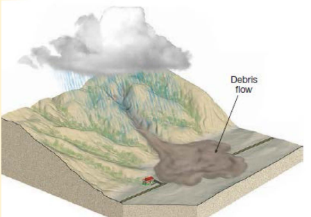 <p>Debris flow </p>