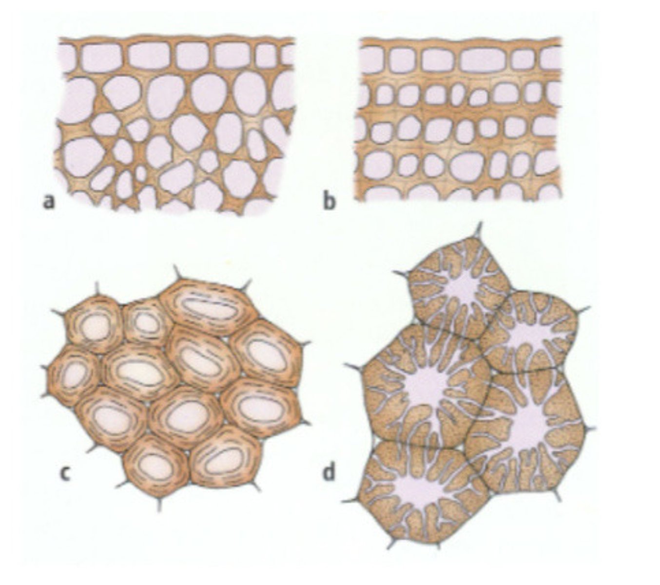 <p>b</p>