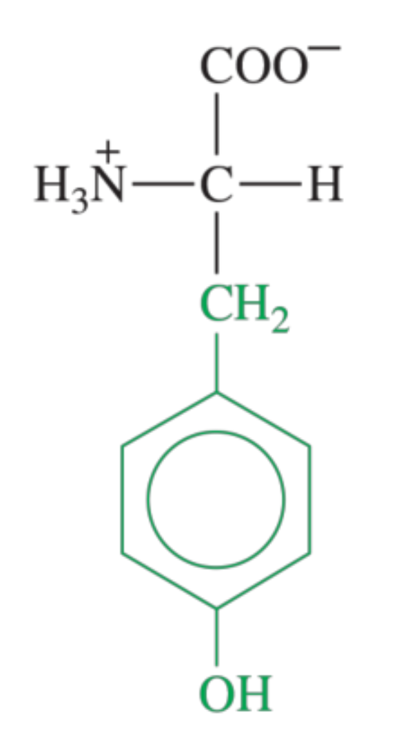 <p>What amino acid is shown in the image?</p>
